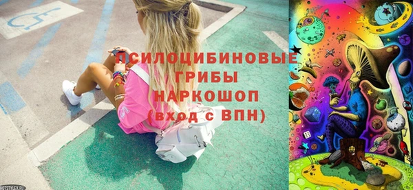 прущая мука Няндома