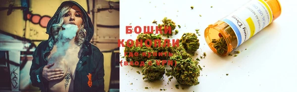 прущая мука Няндома