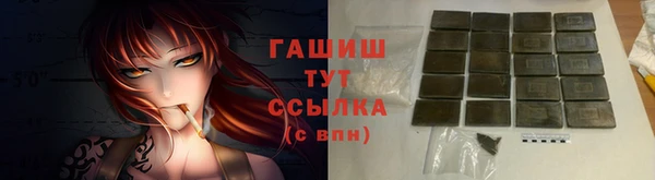 амф Осташков
